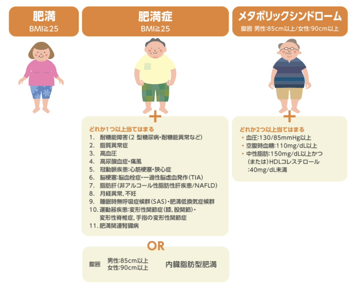 研究ではリンクについて何と述べられていますか?